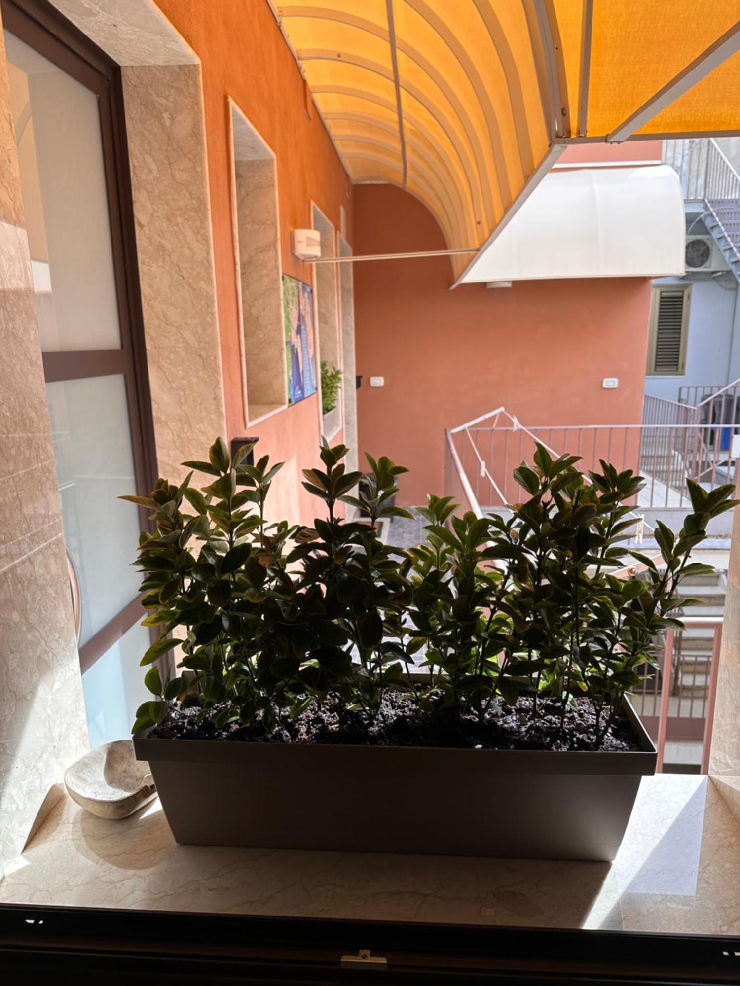 Le Camere Luxury Rooms Siracusa Syracuse Exterior foto